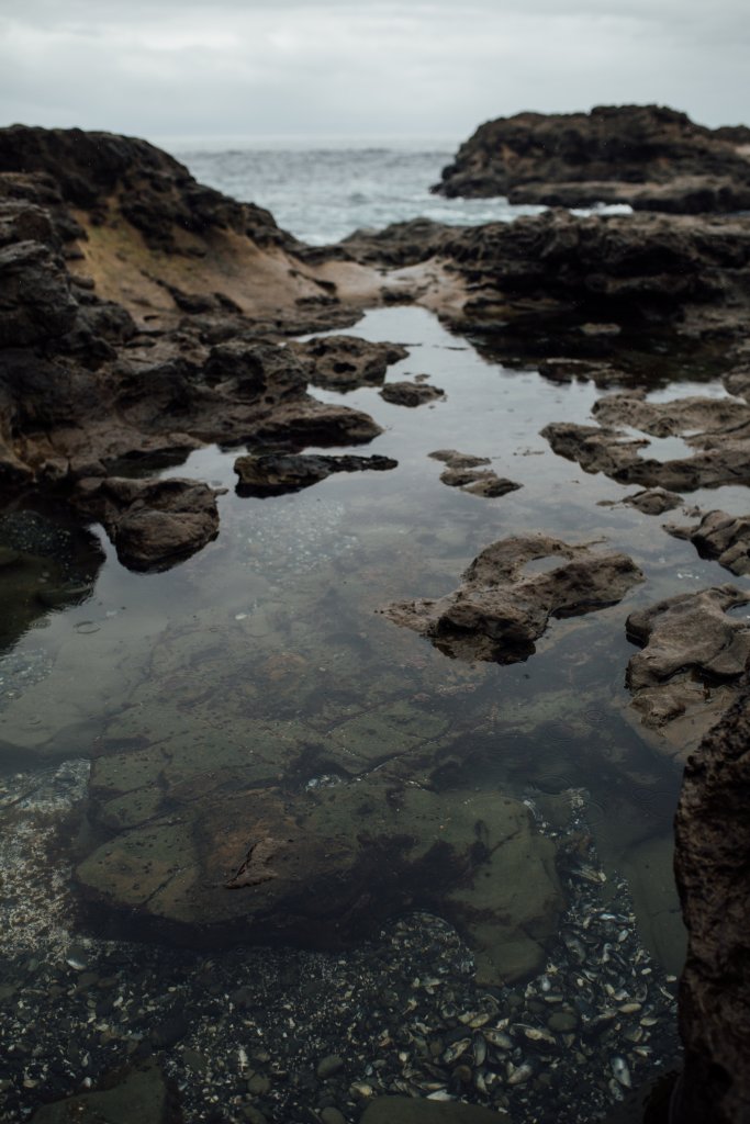 Botanical Beach Hike by Saidia Photography [Vancouver Island] - 