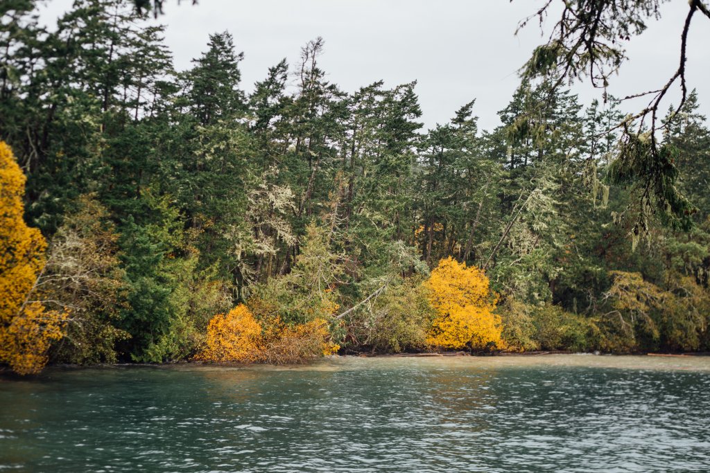 Coast Trail, East Sooke Regional Park by Saidia Photography [Vancouver Island] - 