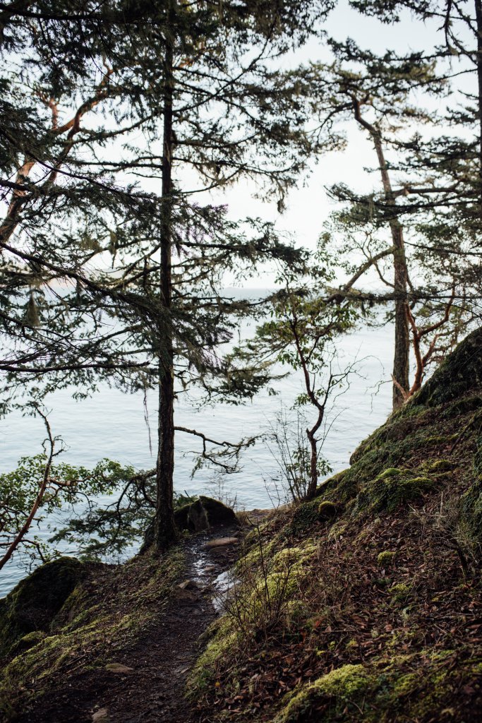Coast Trail, East Sooke Regional Park by Saidia Photography [Vancouver Island] - 