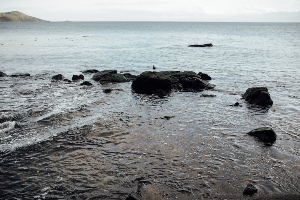 Coast Trail, East Sooke Regional Park by Saidia Photography [Vancouver Island] - 