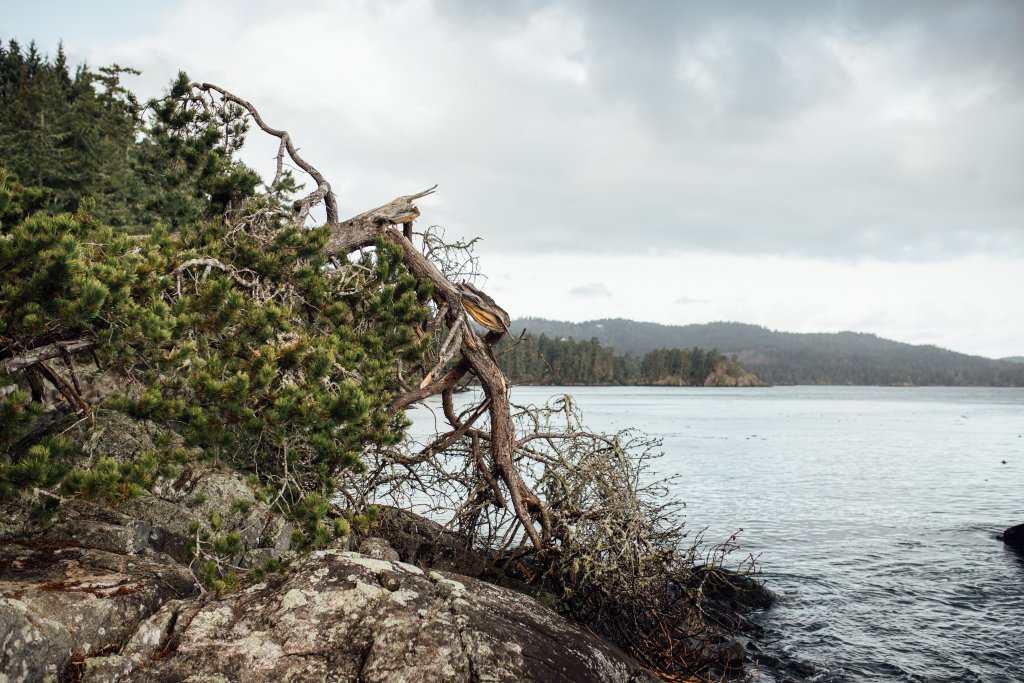 Coast Trail, East Sooke Regional Park by Saidia Photography [Vancouver Island] - 