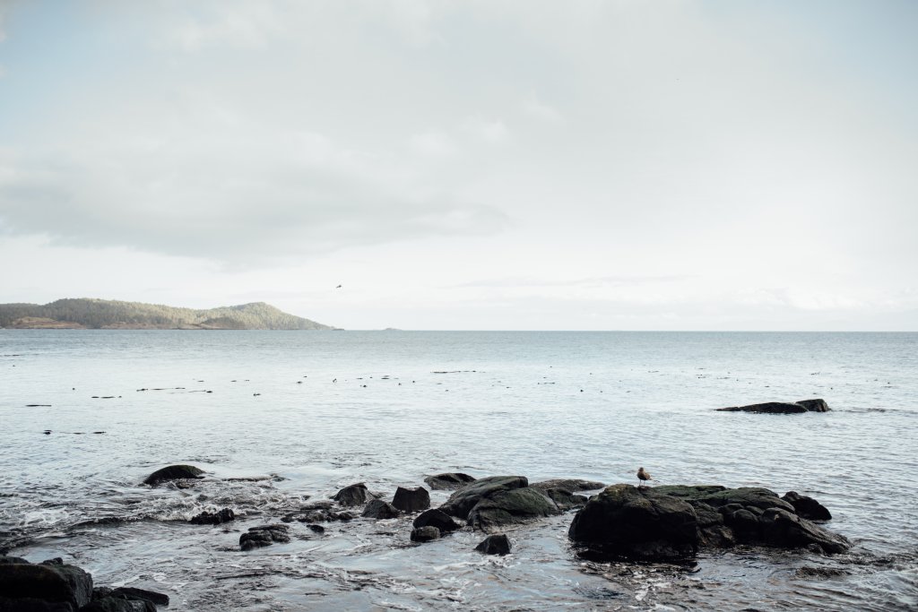 Coast Trail, East Sooke Regional Park by Saidia Photography [Vancouver Island] - 