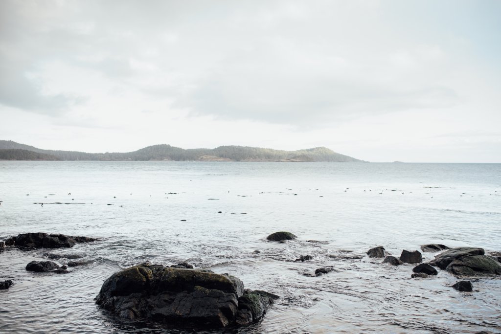 Coast Trail, East Sooke Regional Park by Saidia Photography [Vancouver Island] - 