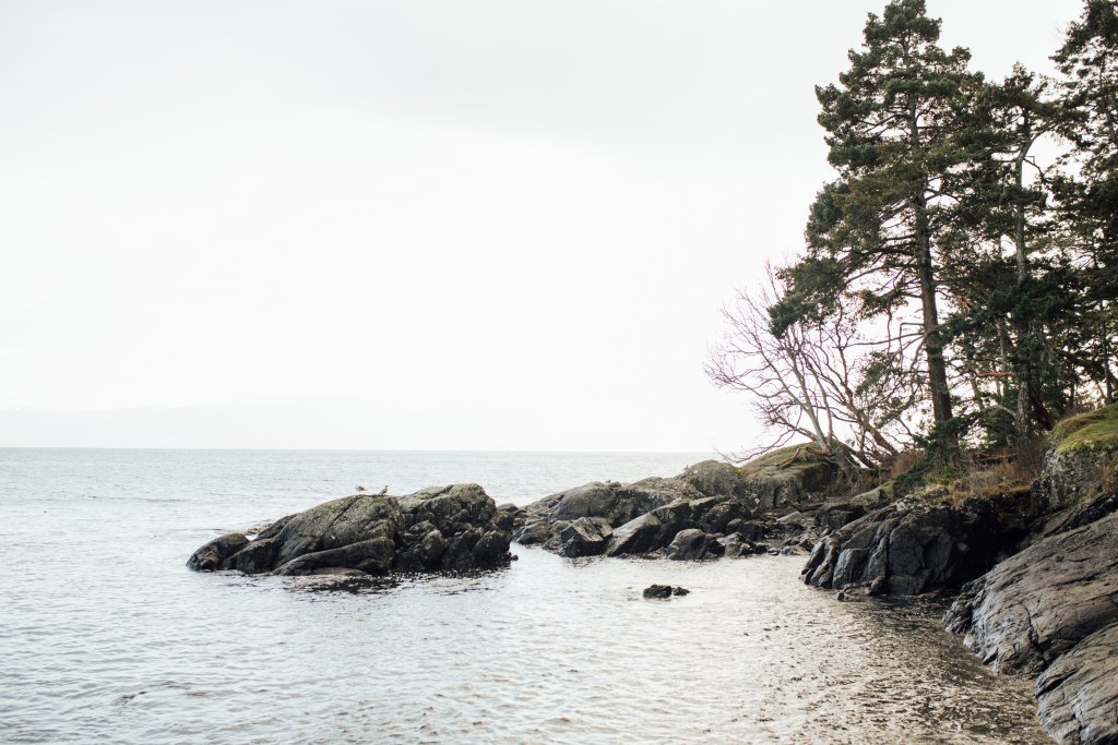 Coast Trail, East Sooke Regional Park by Saidia Photography [Vancouver Island] - 