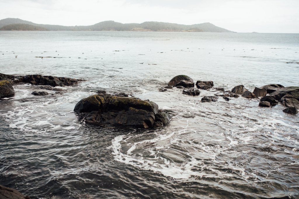 Coast Trail, East Sooke Regional Park by Saidia Photography [Vancouver Island] - 