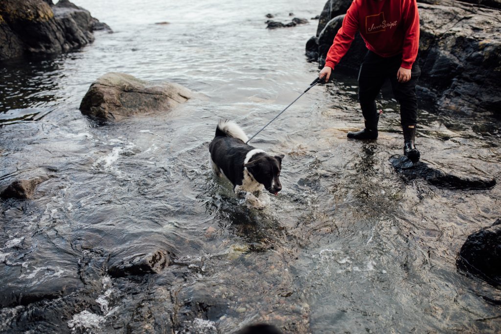 Coast Trail, East Sooke Regional Park by Saidia Photography [Vancouver Island] - 