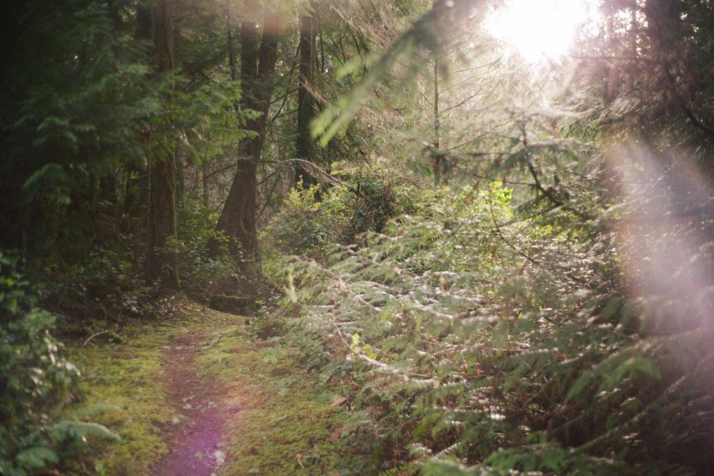 Interior Trail East Sooke Park by Saidia Photography [Vancouver Island] - 