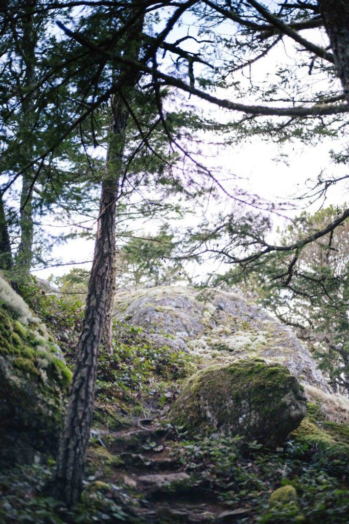 Interior Trail East Sooke Park by Saidia Photography [Vancouver Island] - 