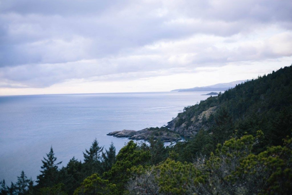Interior Trail East Sooke Park by Saidia Photography [Vancouver Island] - 