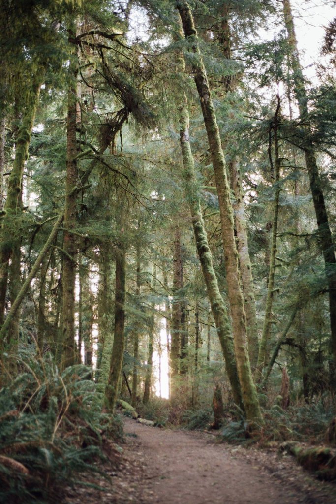 Iron Mine Bay East Sooke Park by Saidia Photography [Vancouver Island] - 