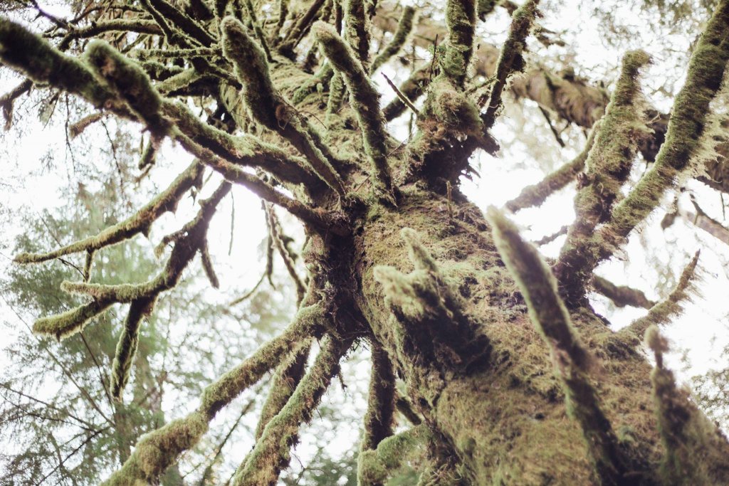 Iron Mine Bay East Sooke Park by Saidia Photography [Vancouver Island] - 