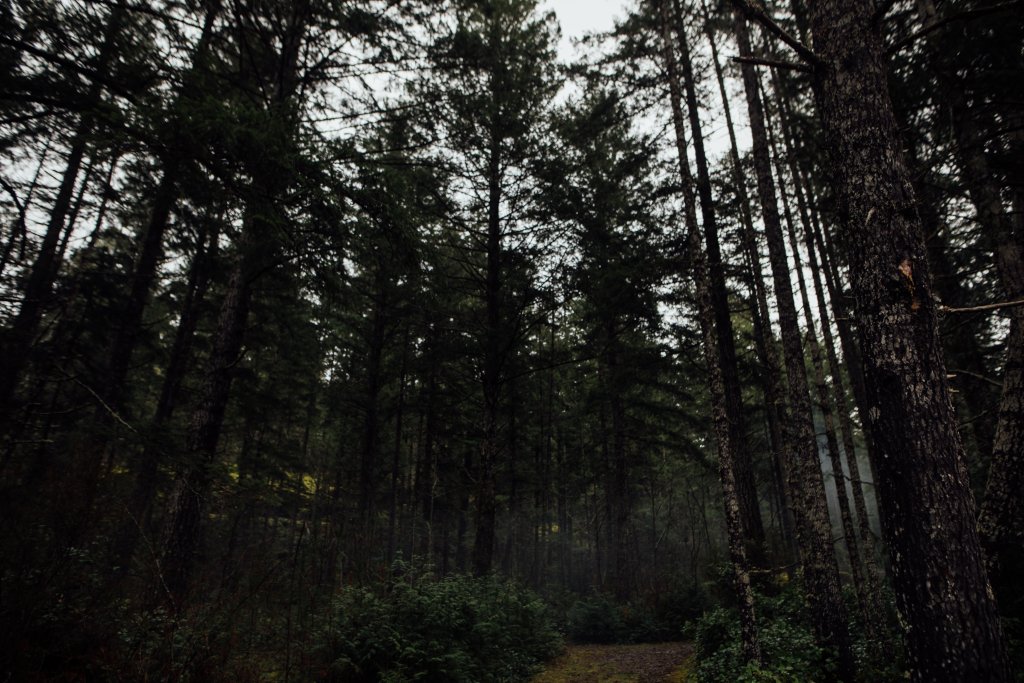 Sooke Pot Holes Regional Park, BC by Saidia Photography [Vancouver Island] - 