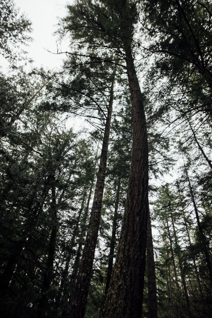 Sooke Pot Holes Regional Park, BC by Saidia Photography [Vancouver Island] - 