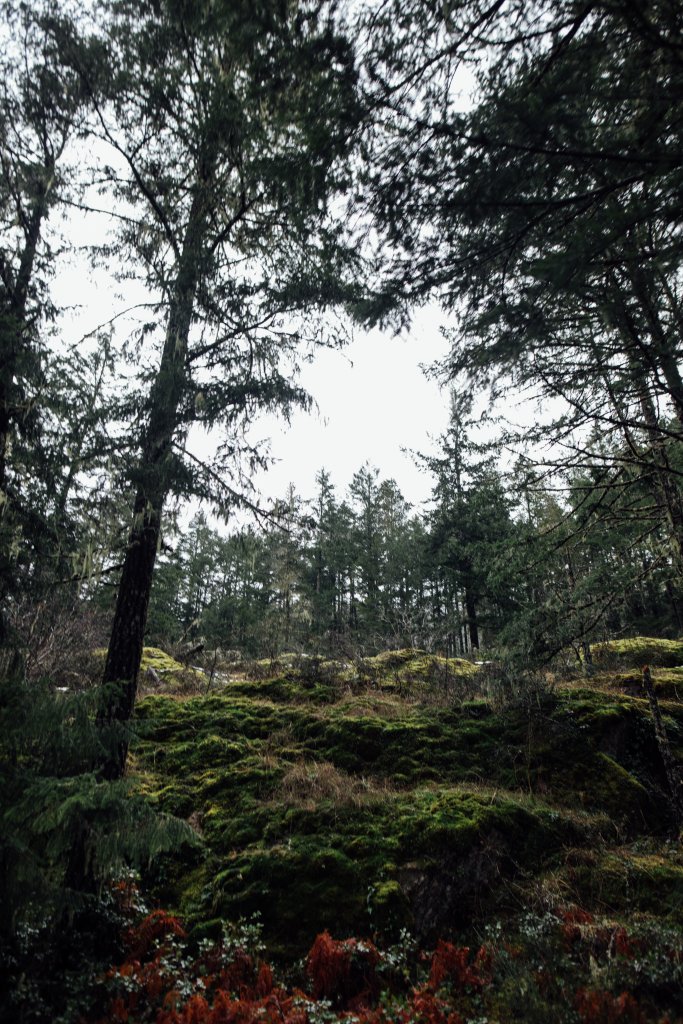 Sooke Pot Holes Regional Park, BC by Saidia Photography [Vancouver Island] - 