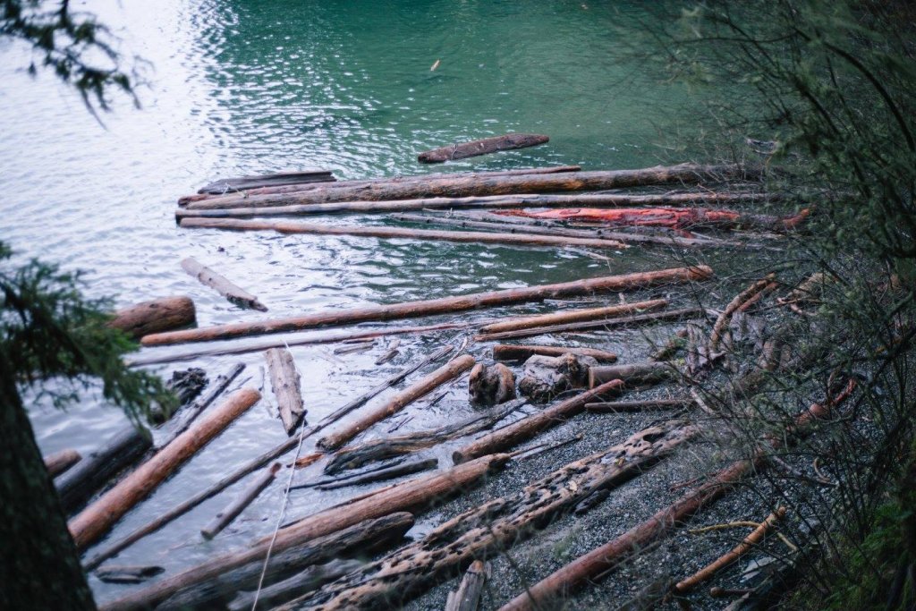 Roche Cove, East Sooke Park by Saidia Photography [Vancouver Island] - 