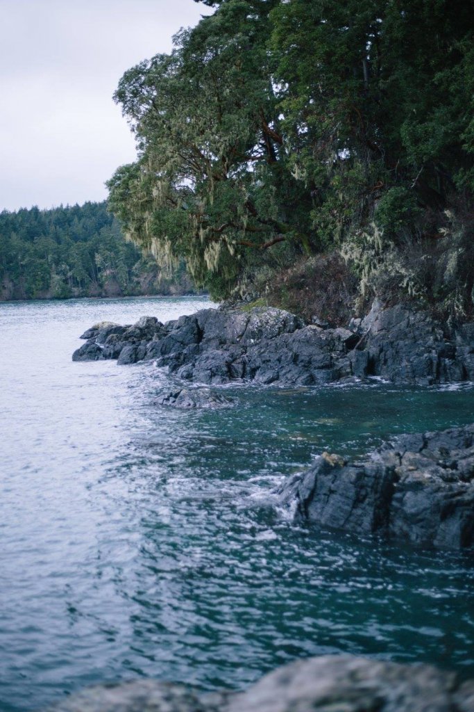 Roche Cove, East Sooke Park by Saidia Photography [Vancouver Island] - 