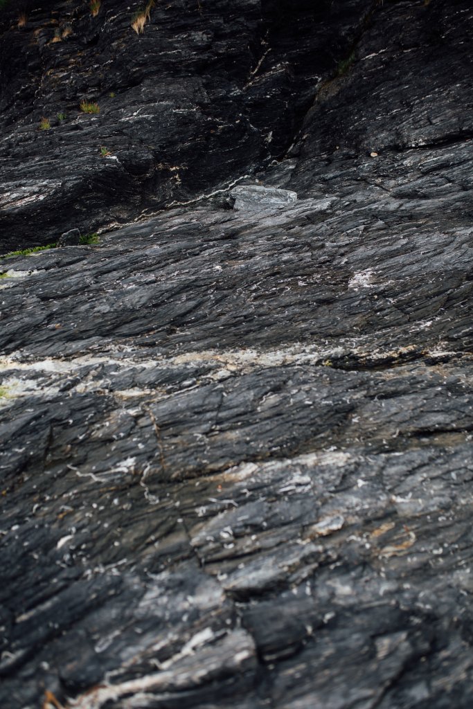 Vancouver Island Adventures With Photographer Saidia Z.Ariss - 