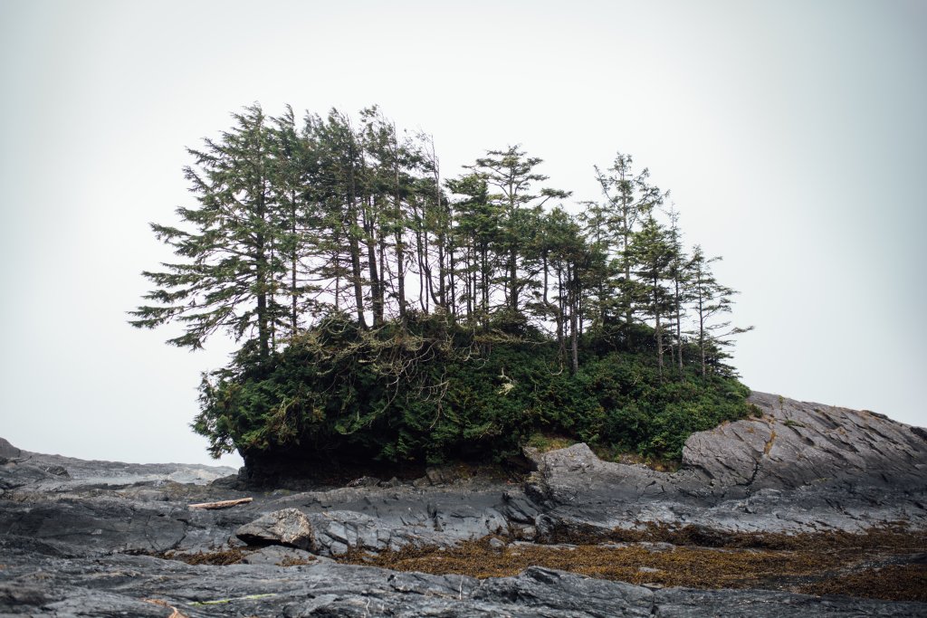 Vancouver Island Adventures With Photographer Saidia Z.Ariss - 