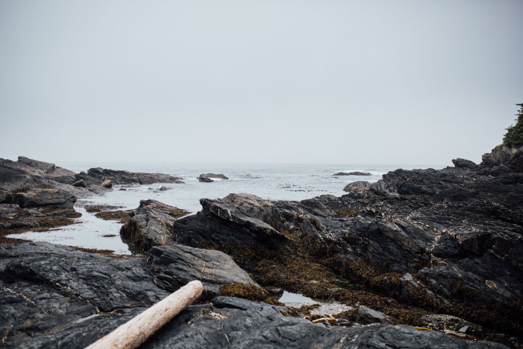Vancouver Island Adventures With Photographer Saidia Z.Ariss - 
