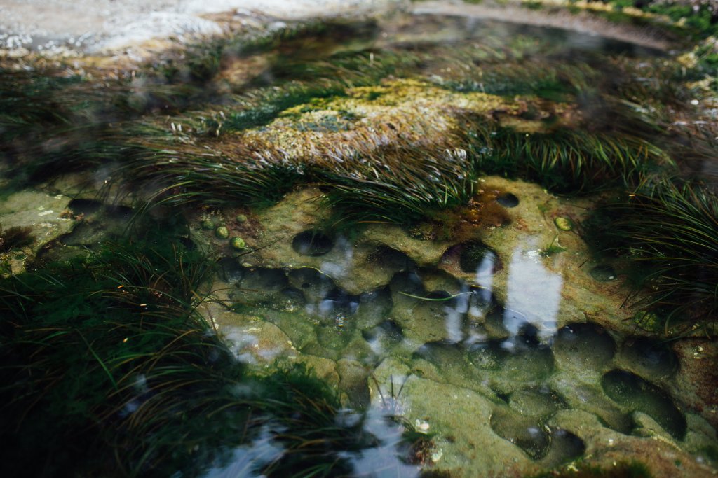 Vancouver Island Adventures With Photographer Saidia Z.Ariss - 