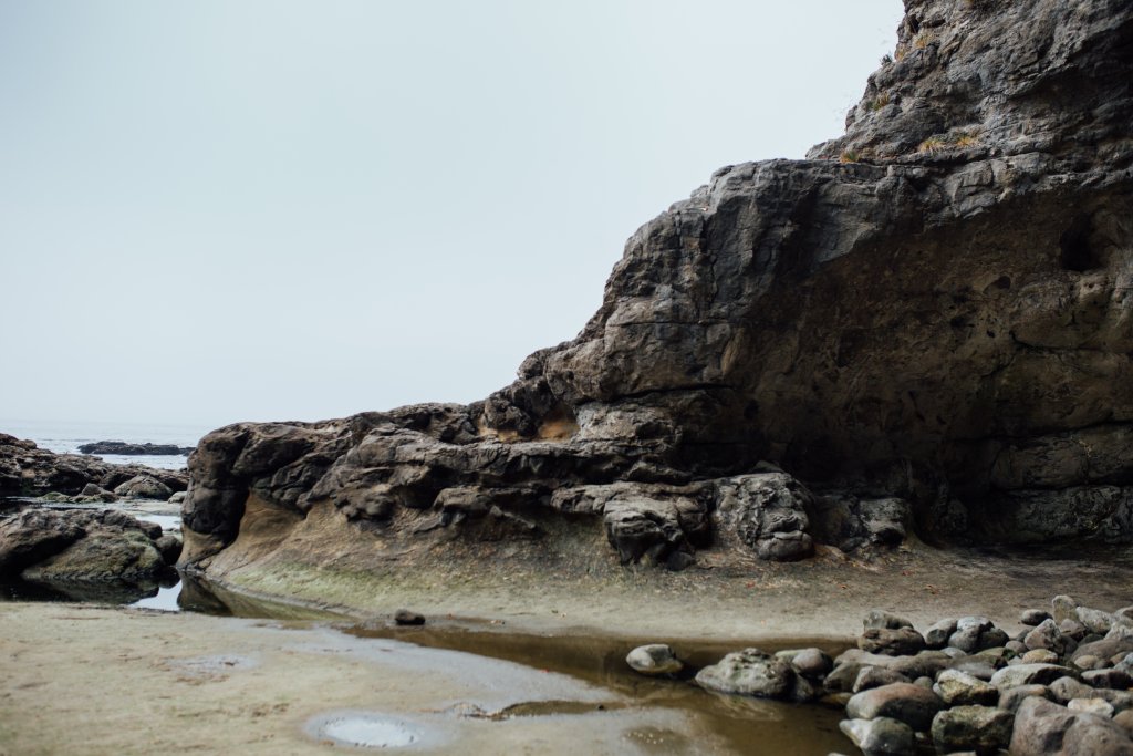 Vancouver Island Adventures With Photographer Saidia Z.Ariss - 