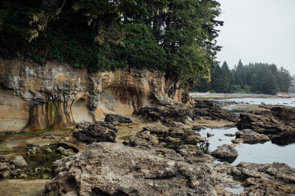 Vancouver Island Adventures With Photographer Saidia Z.Ariss - 
