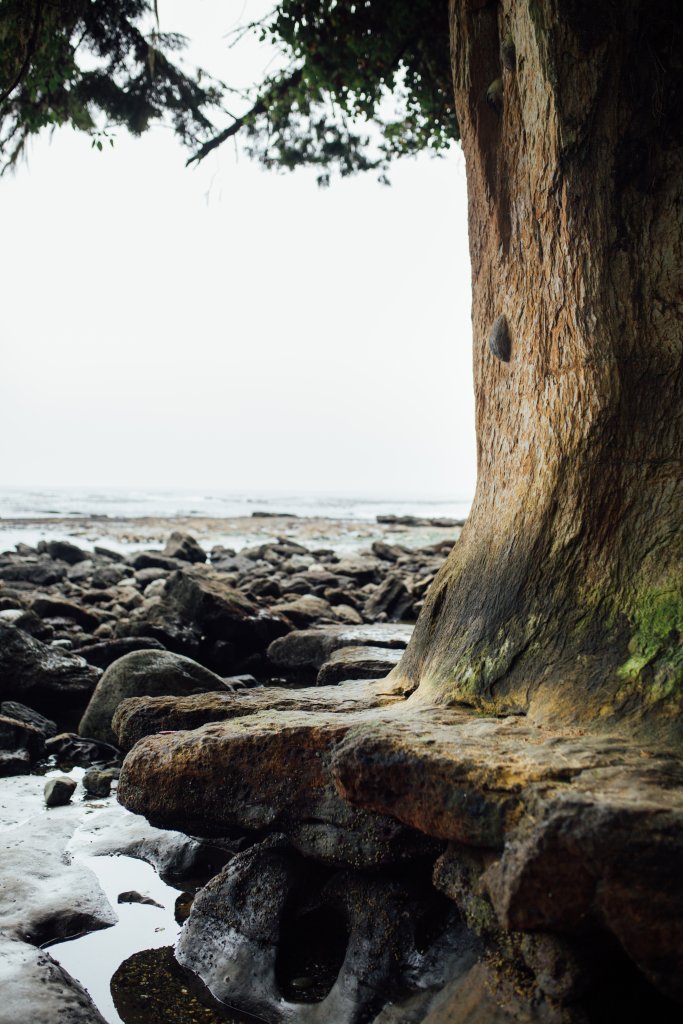 Vancouver Island Adventures With Photographer Saidia Z.Ariss - 