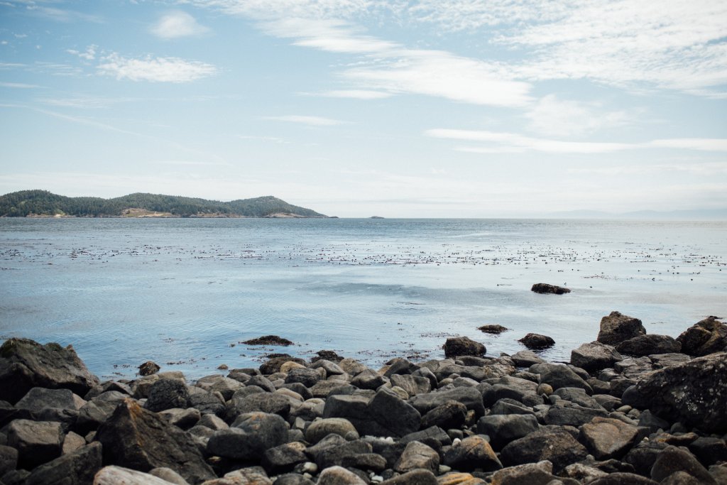 Vancouver Island Adventures With Photographer Saidia Z.Ariss - 