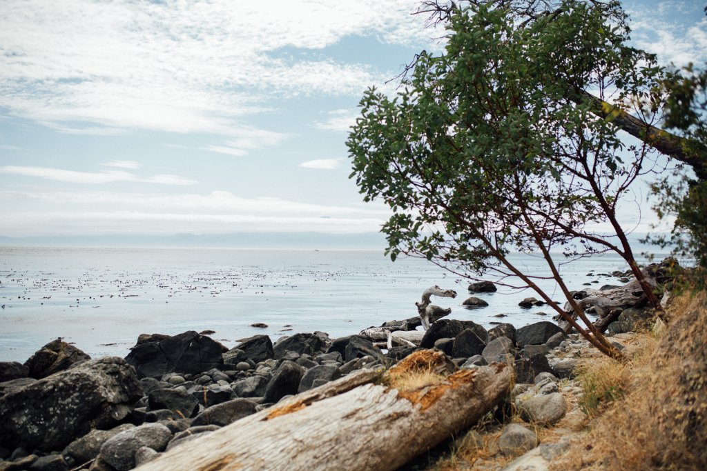 Vancouver Island Adventures With Photographer Saidia Z.Ariss - 