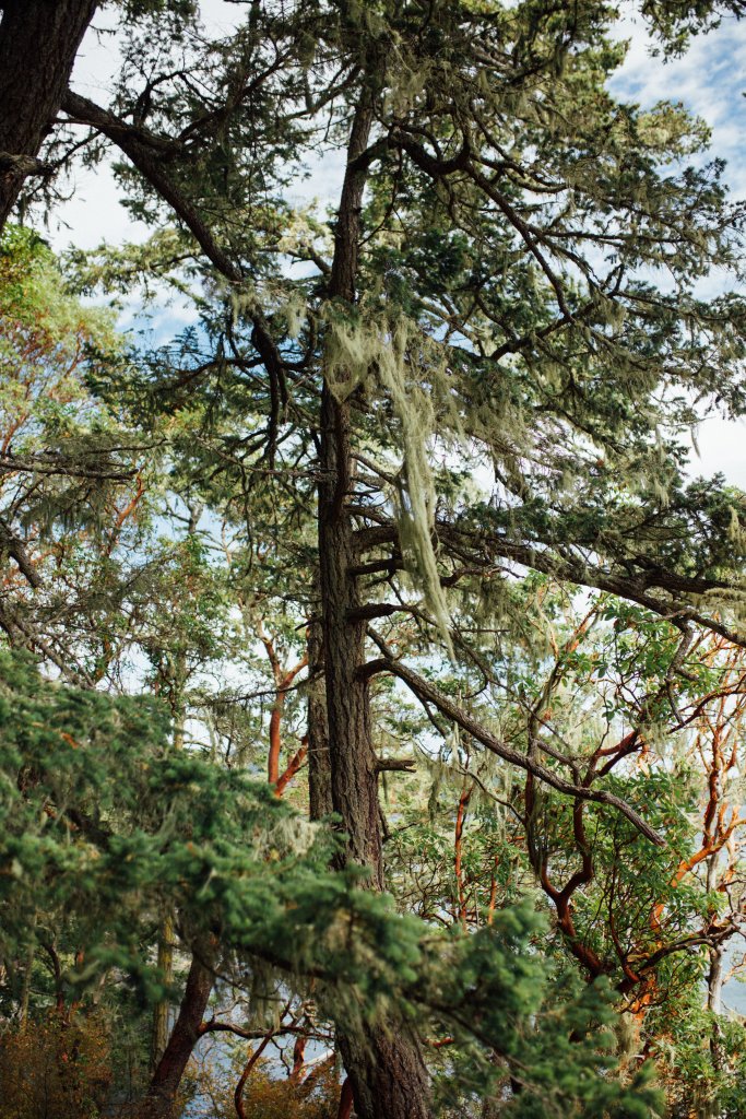 Vancouver Island Adventures With Photographer Saidia Z.Ariss - 
