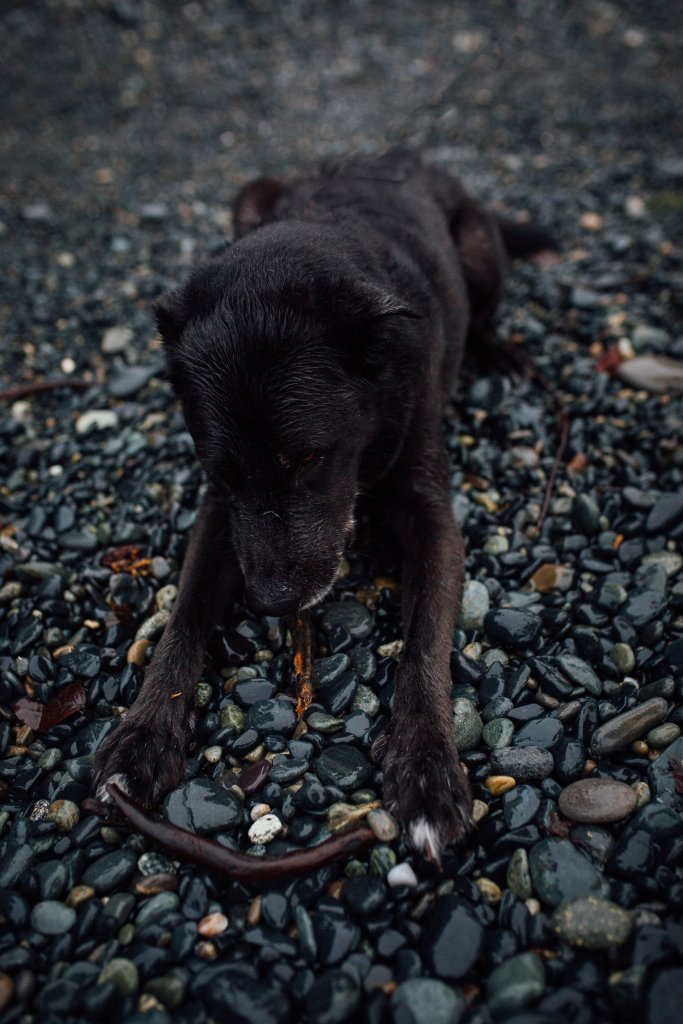 Sandcut Beach, BC by Saidia-Photography [Vancouver Island] - 