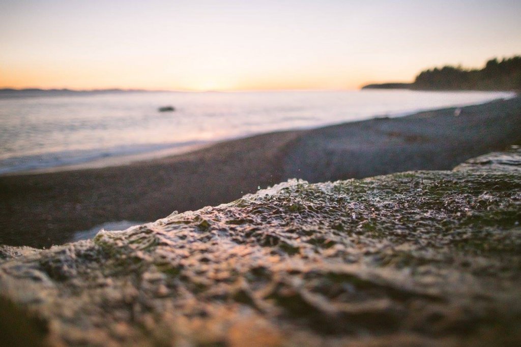 Sandcut Beach, BC by Saidia-Photography [Vancouver Island] - 