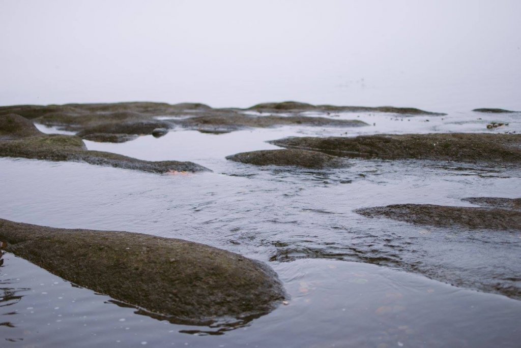 Sandcut Beach, BC by Saidia-Photography [Vancouver Island] - 
