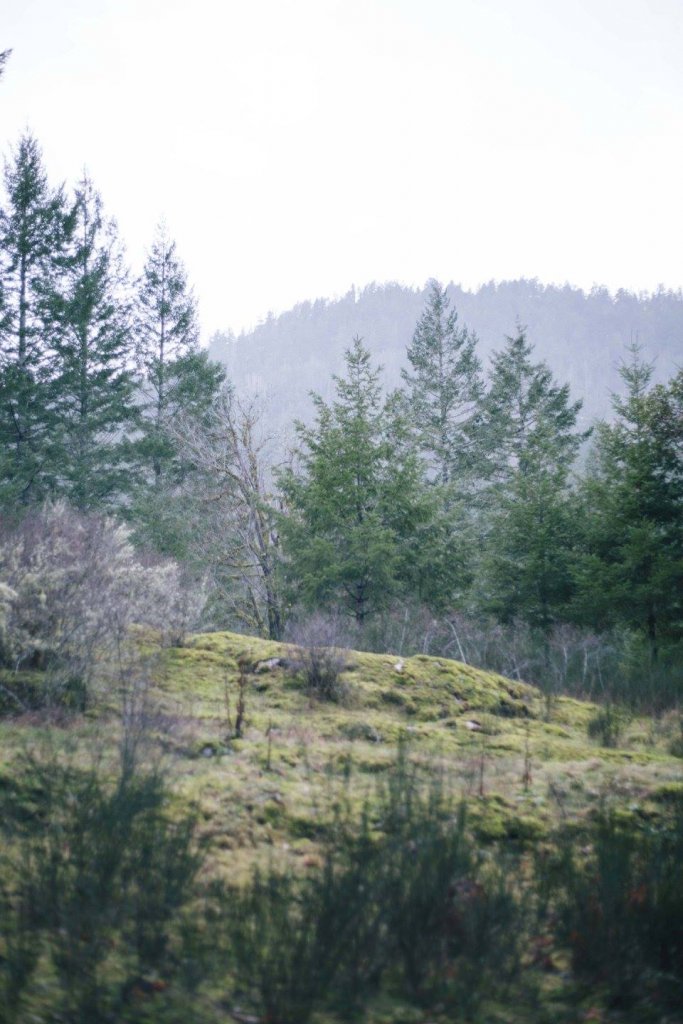 Sooke Pot Holes Regional Park, BC by Saidia Photography [Vancouver Island] - 