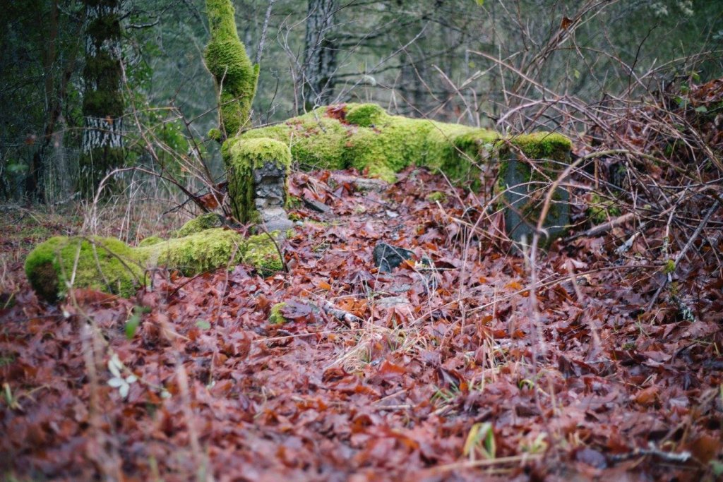 Sooke Pot Holes Regional Park, BC by Saidia Photography [Vancouver Island] - 