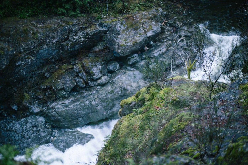 Sooke Pot Holes Regional Park, BC by Saidia Photography [Vancouver Island] - 