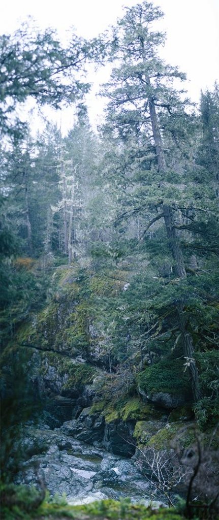 Sooke Pot Holes Regional Park, BC by Saidia Photography [Vancouver Island] - 