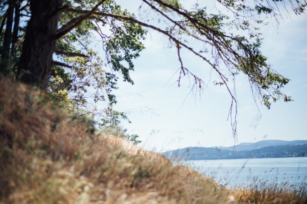 Vancouver Island Adventures With Photographer Saidia Z.Ariss (Sooke, BC) - 
