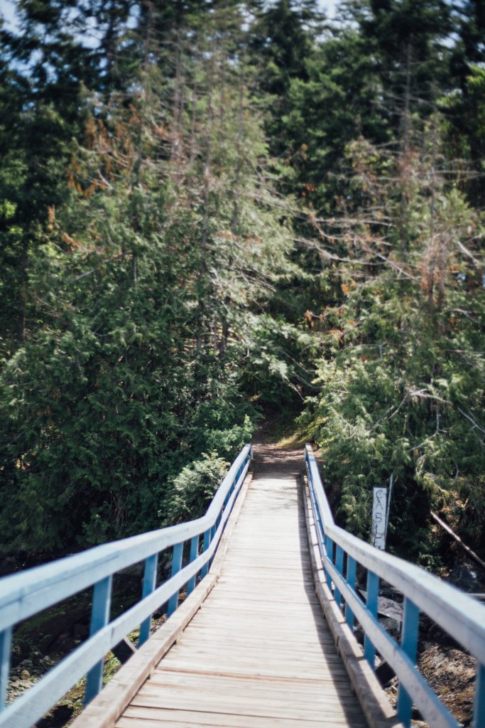 Vancouver Island Adventures With Photographer Saidia Z.Ariss (Sooke, BC) - 