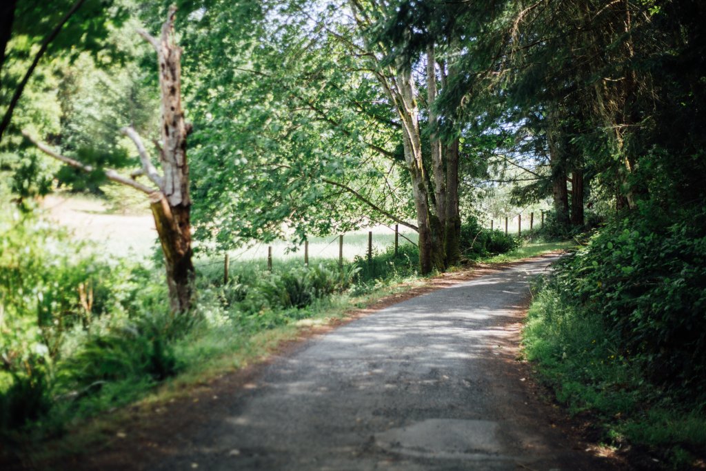 Vancouver Island Adventures With Photographer Saidia Z.Ariss (Sooke, BC) - 