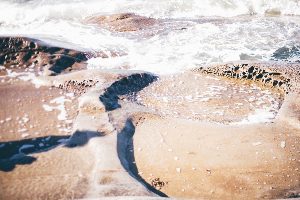 Vancouver Island Adventures With Photographer Saidia Z.Ariss (Sooke, BC) - 