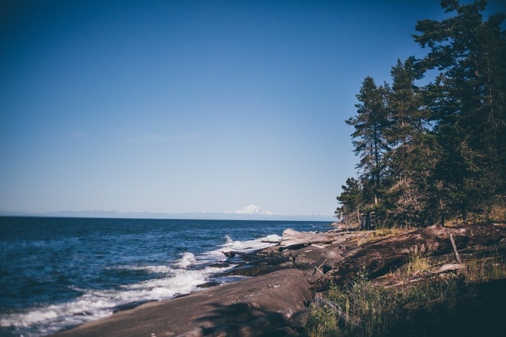 Vancouver Island Adventures With Photographer Saidia Z.Ariss (Sooke, BC) - 