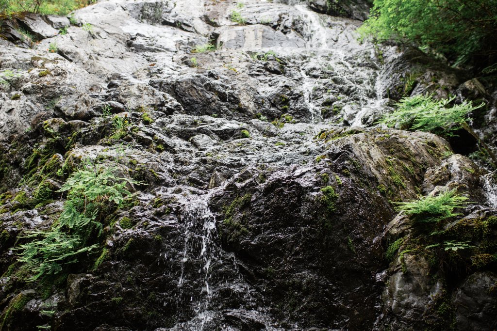 Vancouver Island Adventures With Photographer Saidia Z.Ariss - 