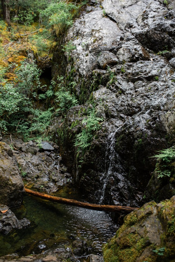 Vancouver Island Adventures With Photographer Saidia Z.Ariss - 