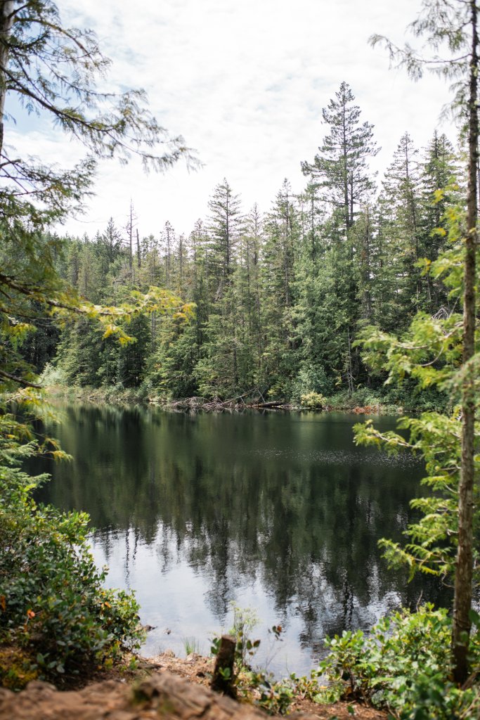 Vancouver Island Adventures With Photographer Saidia Z.Ariss - 