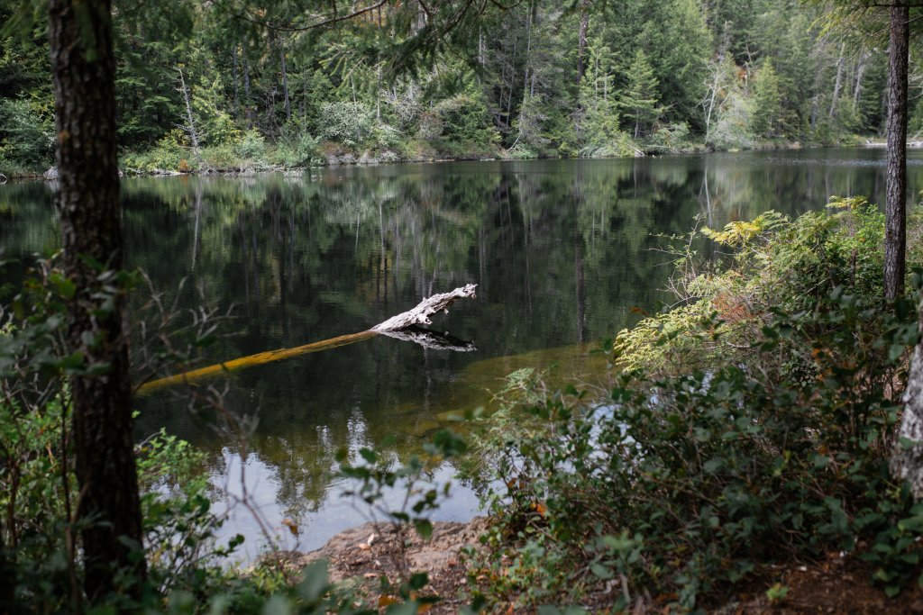 Vancouver Island Adventures With Photographer Saidia Z.Ariss - 