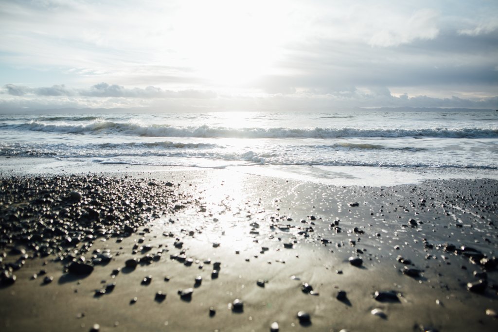 Vancouver Island Adventures With Photographer Saidia Z.Ariss - 