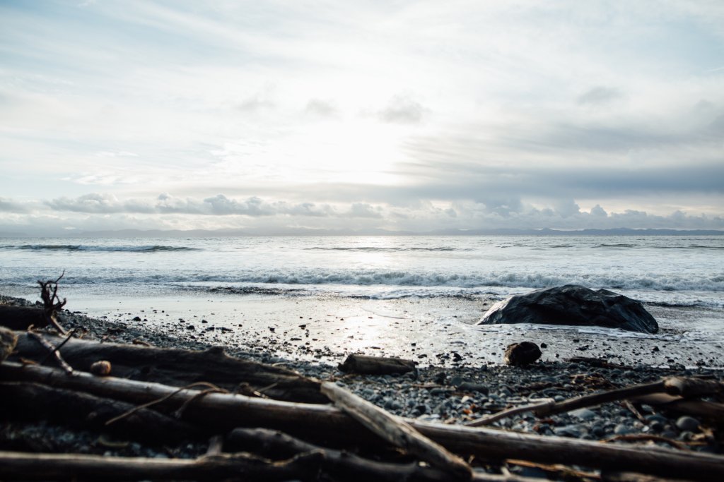 Vancouver Island Adventures With Photographer Saidia Z.Ariss - 