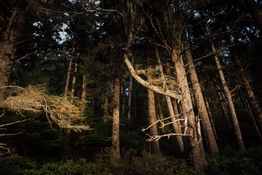 Vancouver Island Adventures With Photographer Saidia Z.Ariss - 