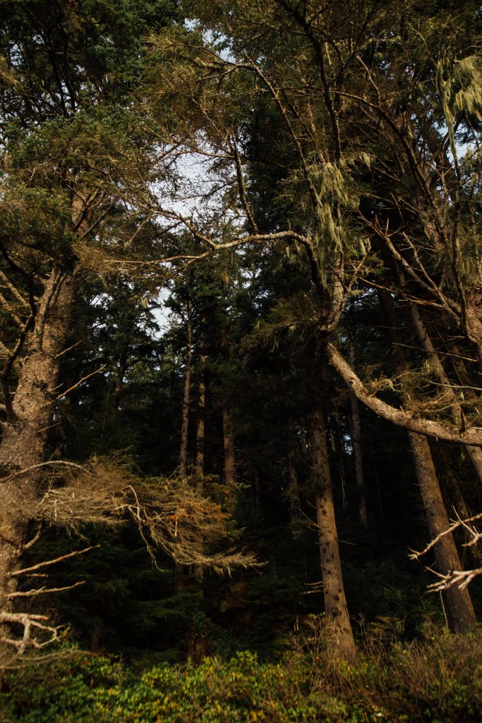 Vancouver Island Adventures With Photographer Saidia Z.Ariss - 